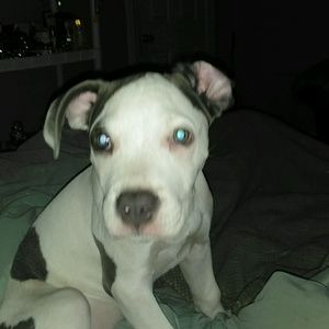 Meet your Posher, Sonja